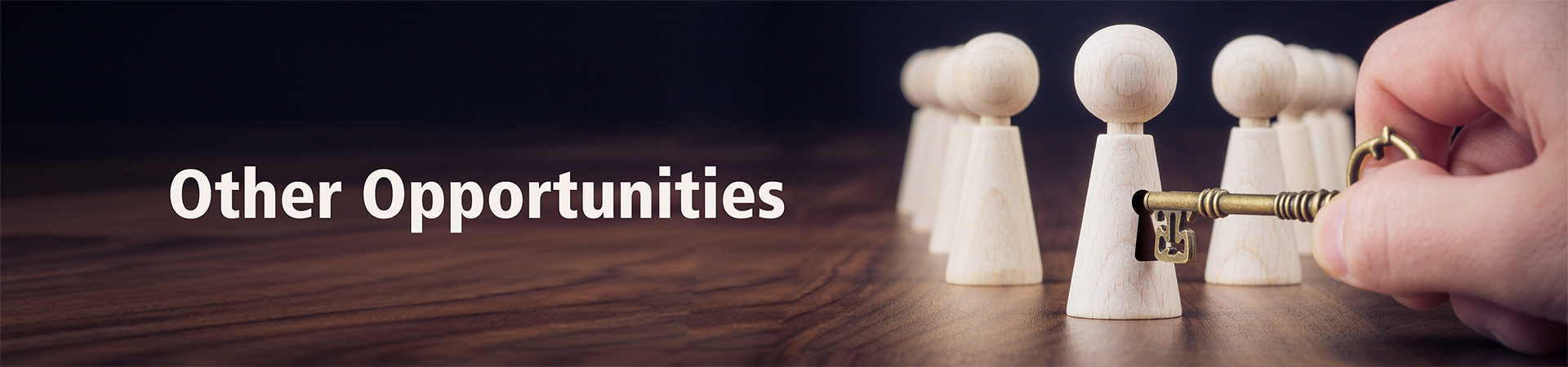 Other Opportunities banner