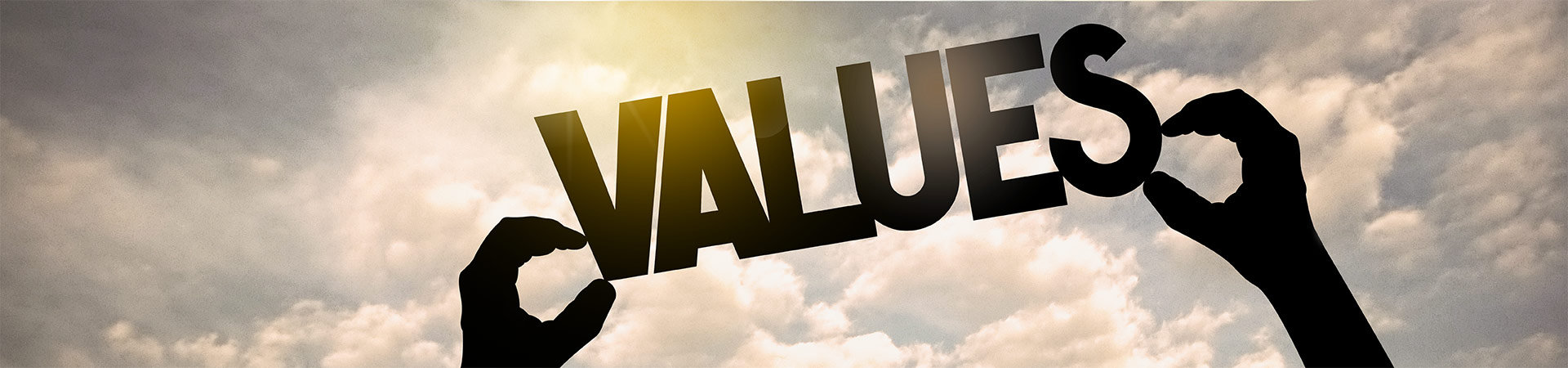 Values banner image